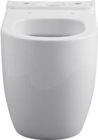 Чаша напольного унитаза Allen Brau Priority 4.31003.20 белый — фото 1, Напольные унитазы