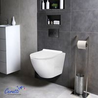 Унитаз SELLA Aria Tornado подвесной безободковый со смывом торнадо Ceruttispa CT9529 (490х370х370) — фото 1, Подвесные унитазы