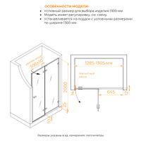 Душевая дверь RGW SV-004B 130x200, профиль черный, стекло прозрачное/8 мм (EasyClean), арт-353200413-14 — фото 5, Распашные душевые двери