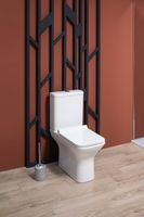 Сливной бачок Aquanet CL-12288-1 арт-Cube 2-C-1 — фото 5, Комплектующие для туалета