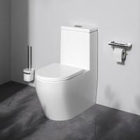 C8F8900SC Func Унитаз-моноблок безободковый с сиденьем — фото 8, Напольные унитазы