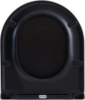 Сиденье для унитаза Aquanet Lake черный матовый арт-00316466 — фото 5, Сиденья для унитаза