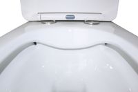 Унитаз-моноблок AZARIO MORANO 680x370х830 напольный, безободковый, в комплекте со смывным механизмом Geberit и сиденьем дюропласт микролифт арт-AZ-1001-G — фото 4, Напольные унитазы