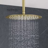 Товар: AQ2075BG круглый верхний душ 300*2 мм, шлиф. золото - фото 6 AQ2075BG круглый верхний душ 300*2 мм, шлиф. золото — фото 6, Верхние души