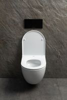 Товар: Чаша подвесного унитаза Allen Brau Priority Tornado 4.31009.20 белый глянец - фото 12 Чаша подвесного унитаза Allen Brau Priority Tornado 4.31009.20 белый глянец — фото 12, Подвесные унитазы