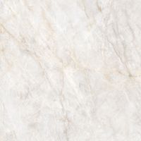 Керамогранит Adani_GT Беж. 60x60 _ 1\54,72 арт-GT606019202SPR — фото 5, Керамогранит