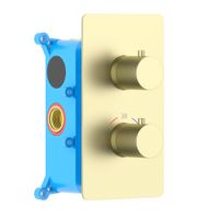 ЕВРОПА термостатический смеситель для ванны 2 режима (внешняя и скрытая часть), шлиф. золото арт-AQ1392BG — фото 1, Встраиваемые смесители для душа