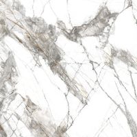 Керамогранит Everest_GT Белый 60x60 _ 1\43,2 арт-GT606013103MR — фото 8, Керамогранит