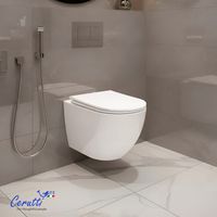 Унитаз AMICI Aria Tornado подвесной безободковый со смывом торнадо Ceruttispa CT11388 (490х335х340) — фото 1, Подвесные унитазы