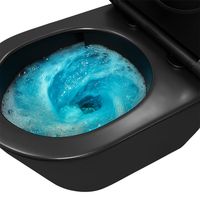 Унитаз подвесной Azario VELA 360х480х360 безободковый, система смыва "Торнадо", с быстросъемным сиденьем "Микролифт", черный матовый арт-AZ-2480MB — фото 13, Подвесные унитазы