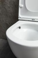 Чаша подвесного унитаза Allen Brau Priority Tornado белый глянец арт-4.31008.20 — фото 9, Подвесные унитазы