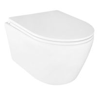 Унитаз подвесной Azario UNO 365х485х365 безободковый, в комплекте с быстросъемным сиденьем микролифт арт-AZ-2380 — фото 1, Подвесные унитазы