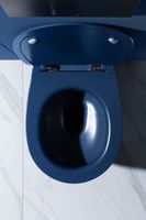 Чаша подвесного унитаза Allen Brau Fantasy индиго арт-4.11004.ID — фото 13, Подвесные унитазы