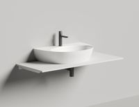 Раковина накладная ALDA WALL 03
покраска по RAL полностью 140323MF — фото 1, Раковины