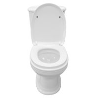 Унитаз-компакт AZARIO BENTY 660х400х770 напольный, в комплекте с сиденьем микролифт арт-AZ-237 — фото 3, Напольные унитазы