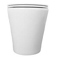 Унитаз приставной Azario Teramo 580х360х430 безободковый, быстросъемное сиденье с микролифтом арт-AZ-1003DNR — фото 5, Приставные унитазы