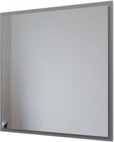 Зеркало Allen Brau Activity 70 1.340026.PGM платина матовый — фото 1, Зеркала в ванную комнату