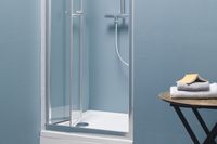 LUNA TVZ/S - 80 - UNI - SILVER PROFILE - TRANSPARENT арт-534080 — фото 1, Душевые двери в нишу