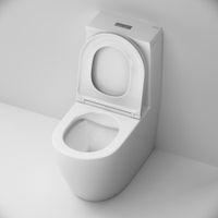 C8F8900SC Func Унитаз-моноблок безободковый с сиденьем — фото 5, Напольные унитазы