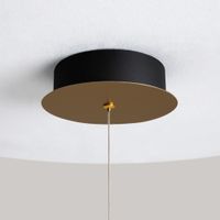 Товар: Подвесной светильник Maytoni MOD361PL-L22BS3K - фото 2 Подвесной светильник Maytoni MOD361PL-L22BS3K — фото 2, Подвесные светильники