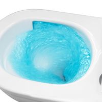 Товар: Унитаз подвесной Azario Fora 368х530х410 безободковый, с системой смыва "Скрытое Торнадо", в комплекте с быстросъемным сиденьем микролифт арт-AZ-0017-UQ3 - фото 14 Унитаз подвесной Azario Fora 368х530х410 безободковый, с системой смыва "Скрытое Торнадо", в комплекте с быстросъемным сиденьем микролифт арт-AZ-0017-UQ3 — фото 14, Подвесные унитазы