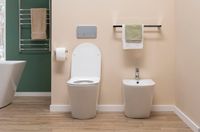 Товар: Унитаз приставной Aquanet Rimless LX-1906 арт-Atago 2.0 F - фото 10 Унитаз приставной Aquanet Rimless LX-1906 арт-Atago 2.0 F — фото 10, Приставные унитазы