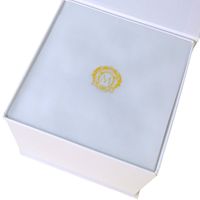 OXFORD См-ль д/душ. колонны моноком., термостат. внешний, выход М3/4", ручка белая, хром 19131 — фото 7, Смеситель для душа