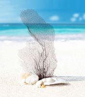 шторка д/в тканевая 180х200см "Белый песок" MZ-128 — фото 1, Шторки на ванну