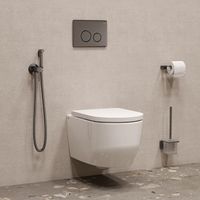 Встраиваемый смеситель с гигиеническим душем IDDIS Axes матовый графит арт-005GMR0i08 — фото 2, Гигиенические души