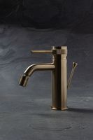 Смеситель для биде Allen Brau Priority 5.31A04-GB (с донным клапаном) золото — фото 10, Смесители для биде