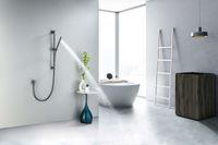 AQ2012BGM ЕВРОПА душевой гарнитур 1jet 65 см, оружейная сталь — фото 2, Душевые гарнитуры на штанге