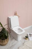 Чаша напольного унитаза Aquanet Rimless CL-12248B арт-Cube-C — фото 15, Напольные унитазы