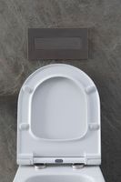 Унитаз с инсталляцией Allen Brau Priority, клавиша хром 301296+301297+306274+306276 — фото 19, Комплекты унитаз + инсталляция