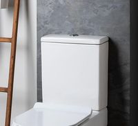 Товар: Сливной бачок Aquanet CL-12339-1 арт-Logic-C-1 - фото 2 Сливной бачок Aquanet CL-12339-1 арт-Logic-C-1 — фото 2, Комплектующие для туалета