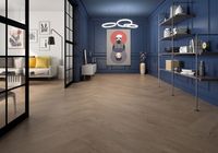 Плитка Geotiles (1,68 кв.м.) арт-Norden Teka 20x120 (F) Compacglass — фото 2, Керамическая плитка