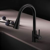 F85B07522 X-Joy S, смеситель для кухни с вытягивающимся изливом, черный — фото 8, Смесители для кухни