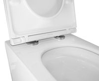 Унитаз подвесной Azario Eclat 520x365x365, безободковый, система слива "Скрытое Торнадо", с быстросъемным сидением микролифт арт-AZ-2381-A — фото 5, Подвесные унитазы