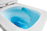 Унитаз подвесной AZARIO FLAVIA 515х360х360 слив "Торнадо", быстросъемное сиденье микролифт арт-AZ-0076-UQ1 — фото 4, Подвесные унитазы