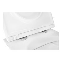 Товар: Унитаз подвесной Azario Felice 490х360х360 безободковый, быстросъемное сиденье микролифт арт-AZ-0051 - фото 14 Унитаз подвесной Azario Felice 490х360х360 безободковый, быстросъемное сиденье микролифт арт-AZ-0051 — фото 14, Подвесные унитазы