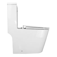 Унитаз-моноблок Azario Scala 360х690х790 безободковый, слив "Торнадо", с быстросъемным сиденьем микролифт арт-AZ-8101 — фото 10, Напольные унитазы