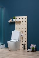 Товар: Чаша напольного унитаза Aquanet Rimless Cetus-C1 BL-102N-TPT - фото 25 Чаша напольного унитаза Aquanet Rimless Cetus-C1 BL-102N-TPT — фото 25, Напольные унитазы