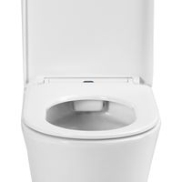 Унитаз-компакт Azario VISE 640х365х820 напольный, безободковый, в комплекте с быстросъемным сиденьем микролифт арт-AZ-1343BT — фото 5, Напольные унитазы