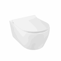 Безободковый подвесной унитаз ARC LINE 54 cm с крышкой Roma арт-SET40006477 — фото 1, Подвесные унитазы