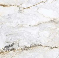 Плитка Pamesa (1,44 кв.м.) арт-At.Piraeus Gold 60x60 — фото 1, Керамическая плитка