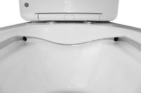 Унитаз-моноблок Azario Terni 350х670х760 напольный, безободковый, горизонтальный слив, сиденье дюропласт микролифт, цвет - белый мрамор арт-AZ-8618M — фото 4, Напольные унитазы