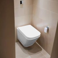 Товар: Унитаз подвесной Azario Armonia с системой смыва Tornado, безободковый с сиденьем микролифт 490*340*360 арт-AZ-2403 - фото 13 Унитаз подвесной Azario Armonia с системой смыва Tornado, безободковый с сиденьем микролифт 490*340*360 арт-AZ-2403 — фото 13, Подвесные унитазы