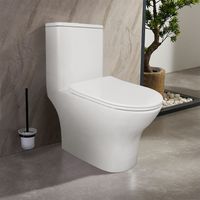 Унитаз-моноблок AZARIO Terni 670x350x760 слив "Торнадо", быстросъемное сиденье микролифт арт-AZ-8618T — фото 15, Напольные унитазы