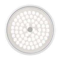 Потолочный светильник Freya арт-FR10012CL-L24W — фото 8, Подвесные светильники