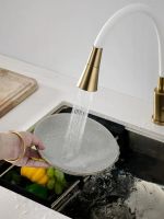 Смеситель для кухни с гибким изливом и режимом душ BELZ , брашированное золото арт-B74810-5 — фото 15, Смесители для кухни