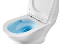 Унитаз-моноблок AZARIO Terni 670x350x760 слив "Торнадо", быстросъемное сиденье микролифт арт-AZ-8618T — фото 8, Напольные унитазы